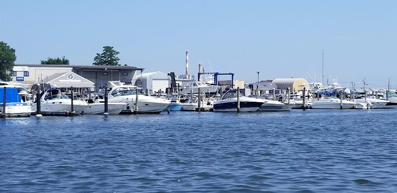 Bay Park photo 3