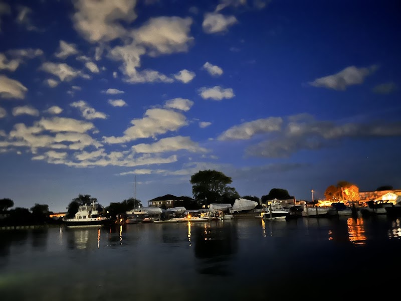 Bay Park photo 4