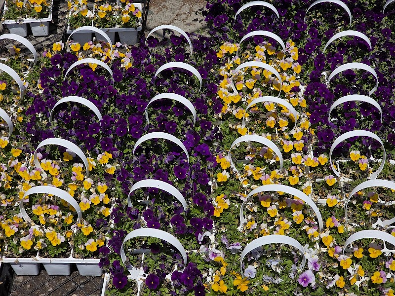 BB & GG Farms & Nursery photo 2
