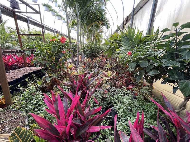 BB & GG Farms & Nursery photo 4