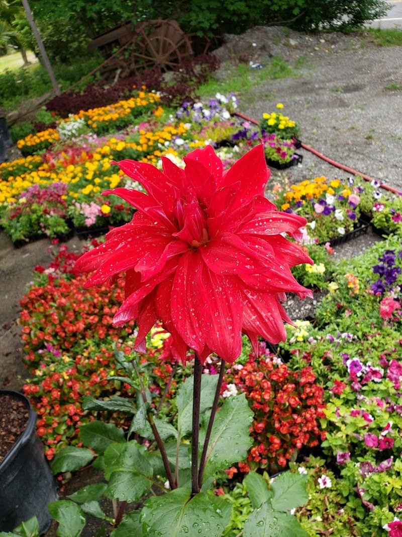 BB & GG Farms & Nursery photo 5