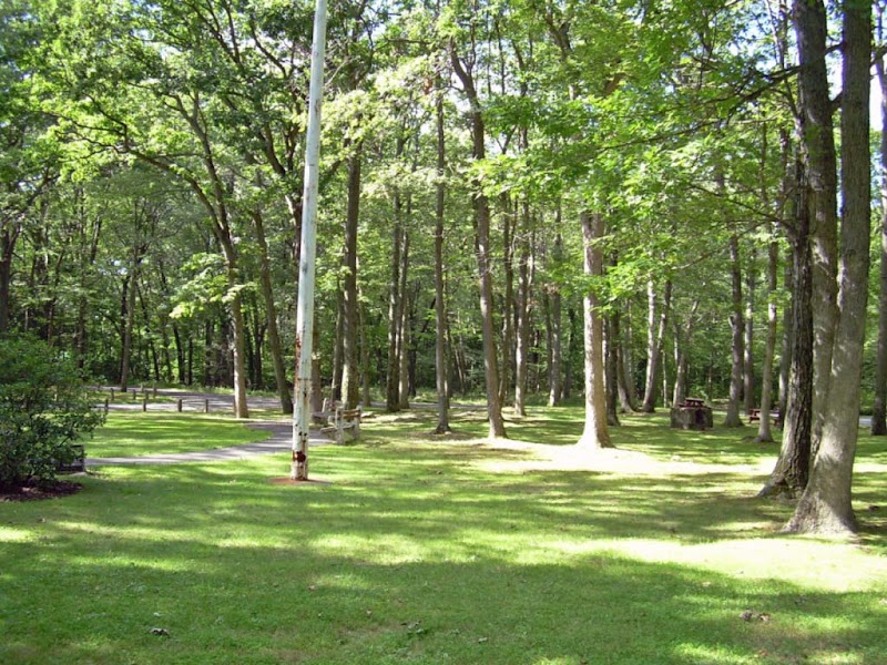Beach Memorial Park photo 3