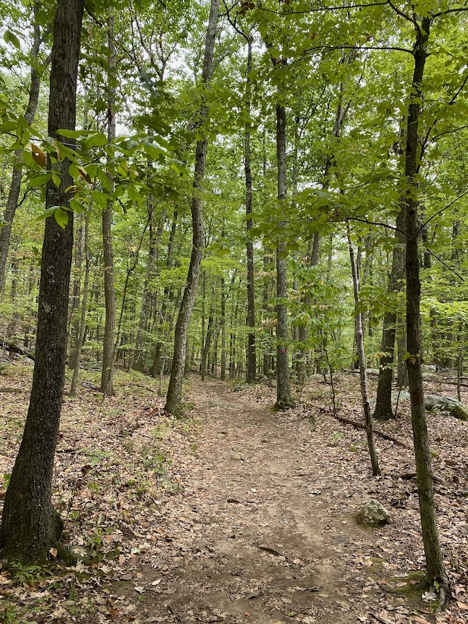 Bear Mountain Reservation photo 3