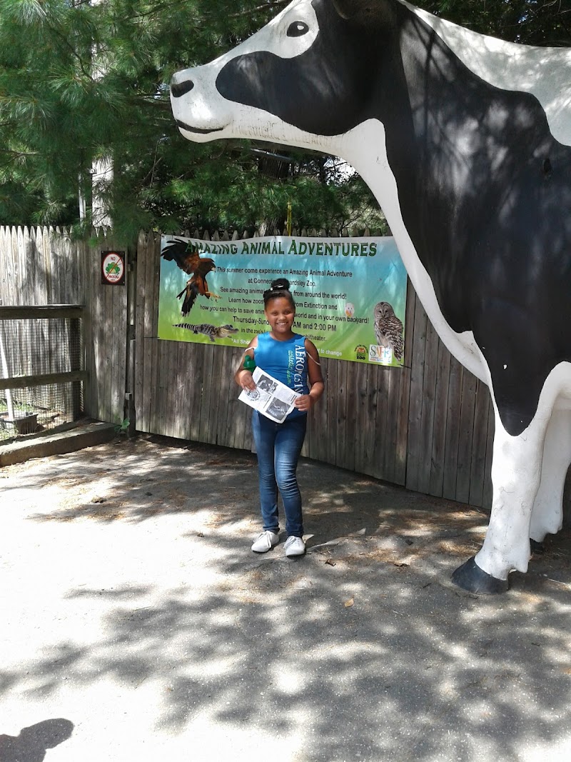 Connecticut's Beardsley Zoo photo 4