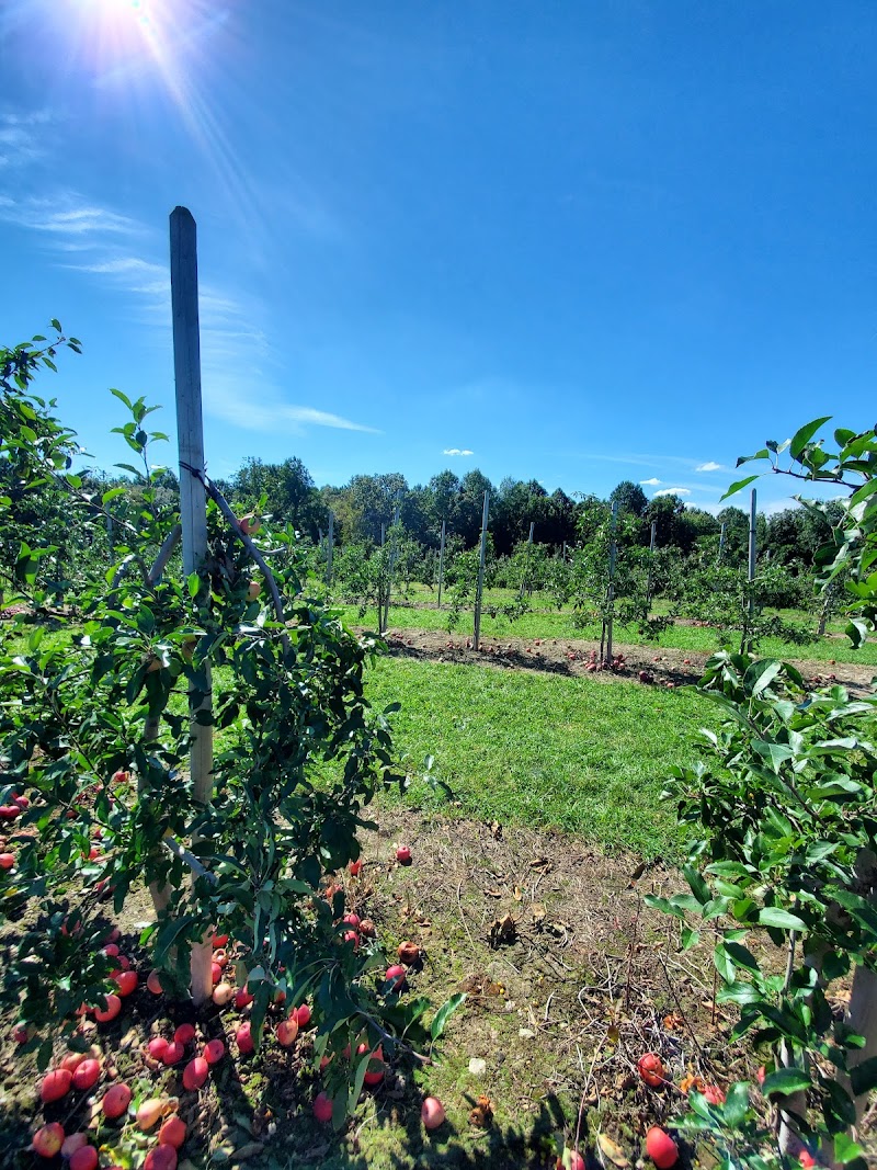 Beardsley's Cider Mill & Orchard photo 5