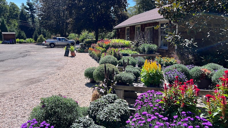 Bedford Farms photo 2