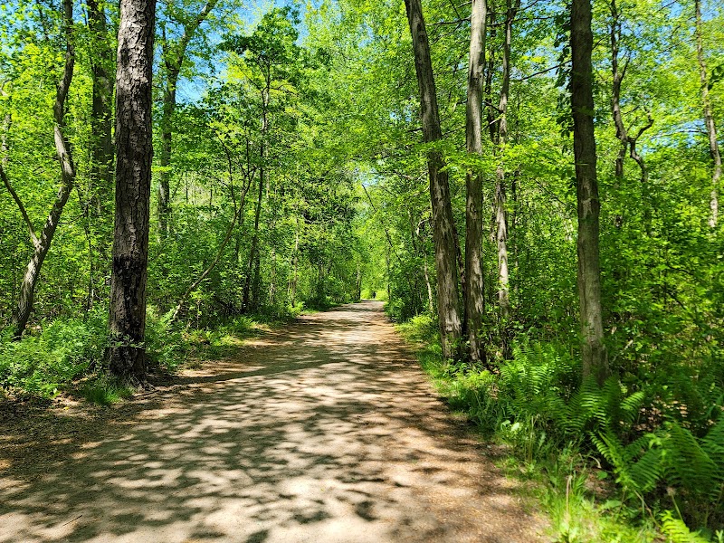 Belmont Lake State Park photo 3