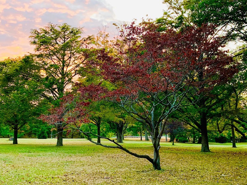 Belmont Lake State Park photo 4