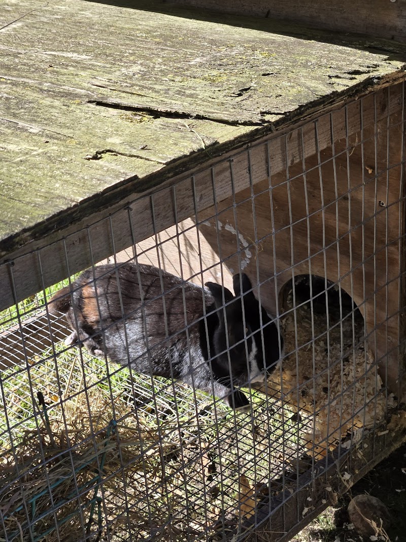 Benner's Farm photo 2