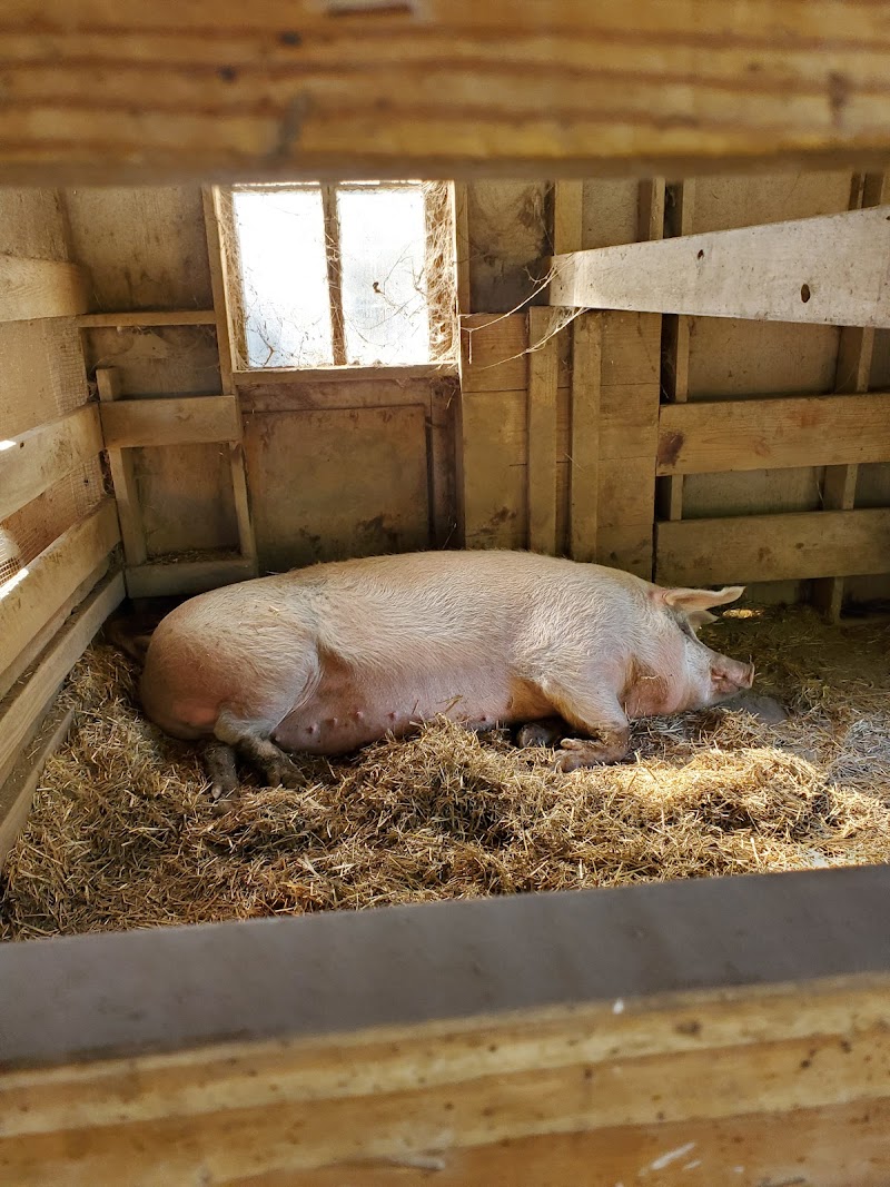 Benner's Farm photo 3