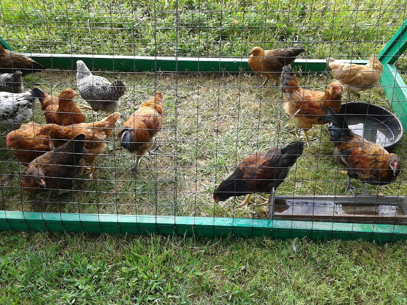 Benner's Farm photo 4