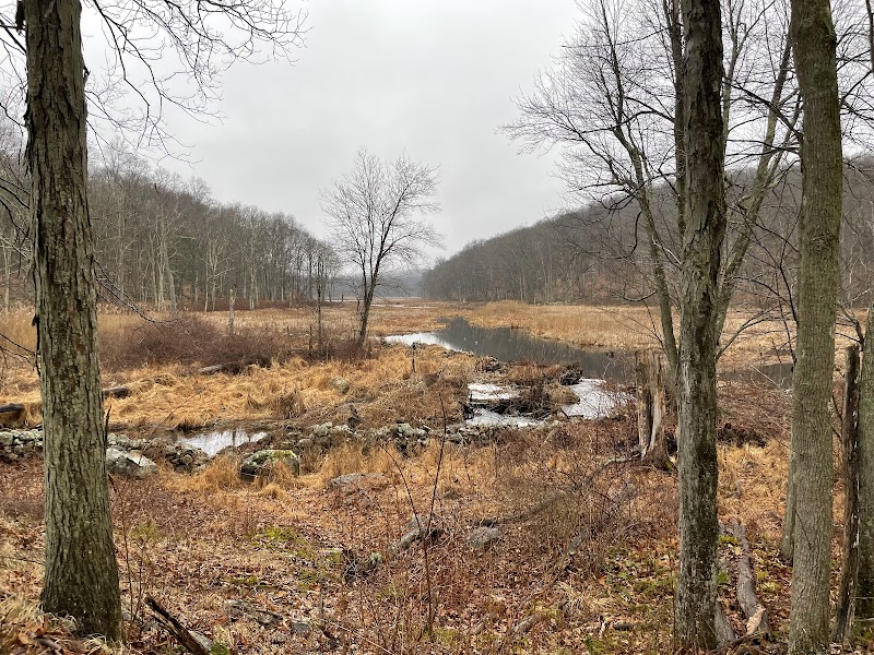 Bennetts Pond State Park photo 2
