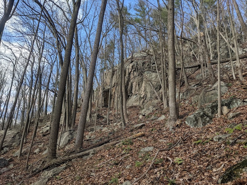 Bennetts Pond State Park photo 3