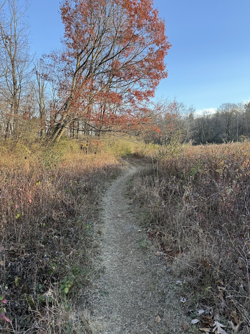 Bennetts Pond State Park photo 4