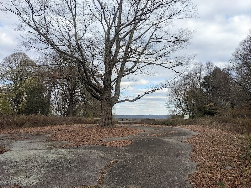 Bennetts Pond State Park photo 5