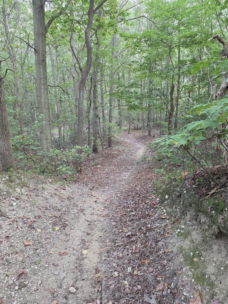 Berkeley Jackson County Park photo 3