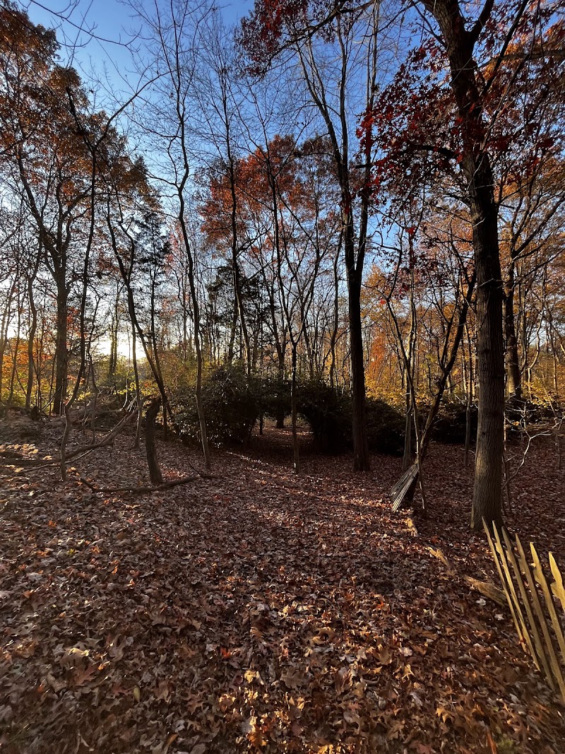 Berkeley Jackson County Park photo 4