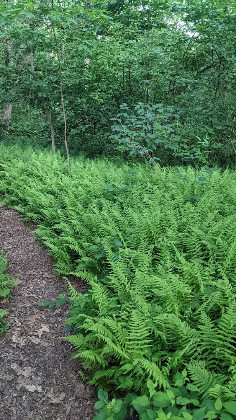 Berkeley Jackson County Park photo 5
