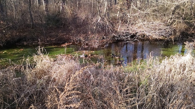 Bethpage Bikeway photo 4