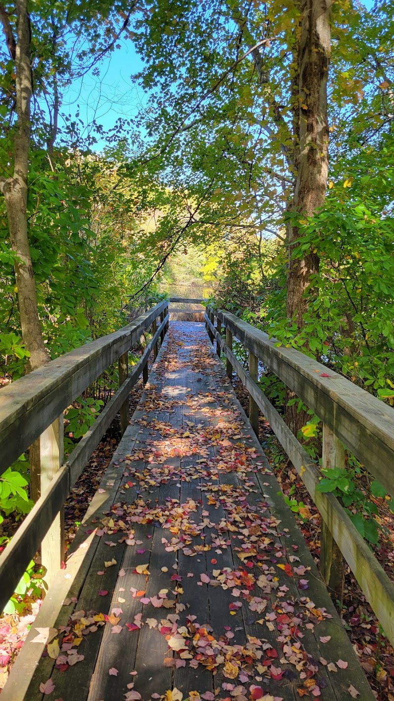 Betty Allen Twin Ponds Nature Park photo 3