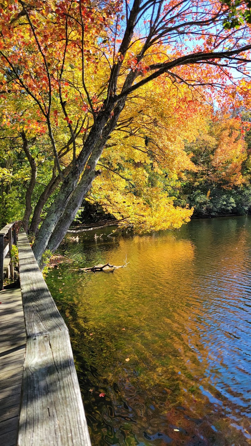 Betty Allen Twin Ponds Nature Park photo 4