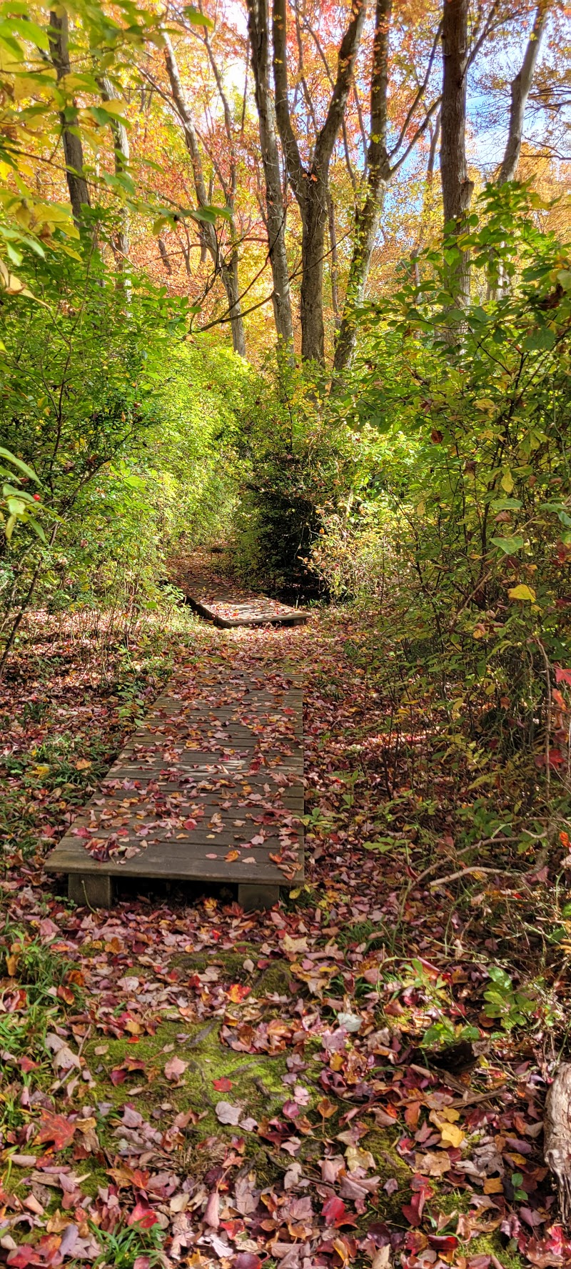 Betty Allen Twin Ponds Nature Park photo 5