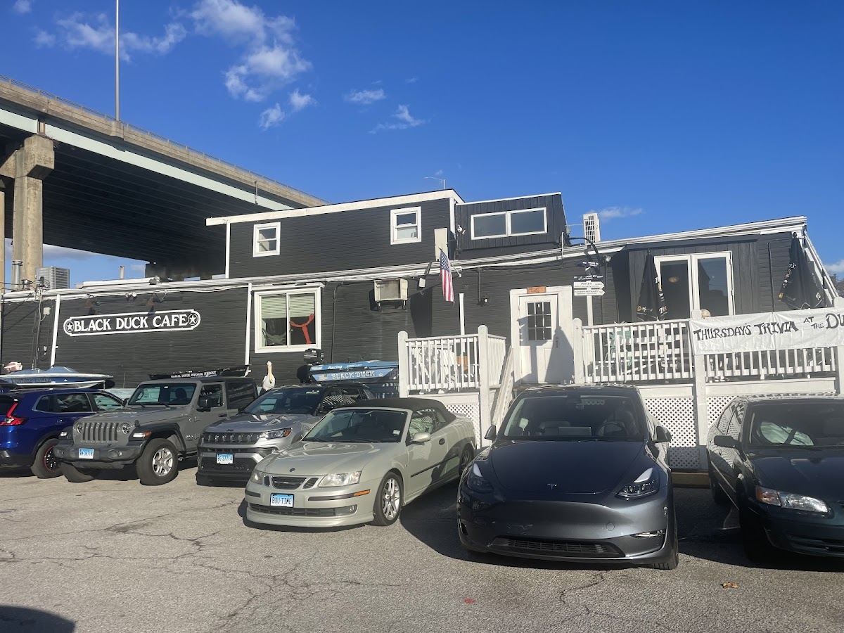 Black Duck Cafe photo 3