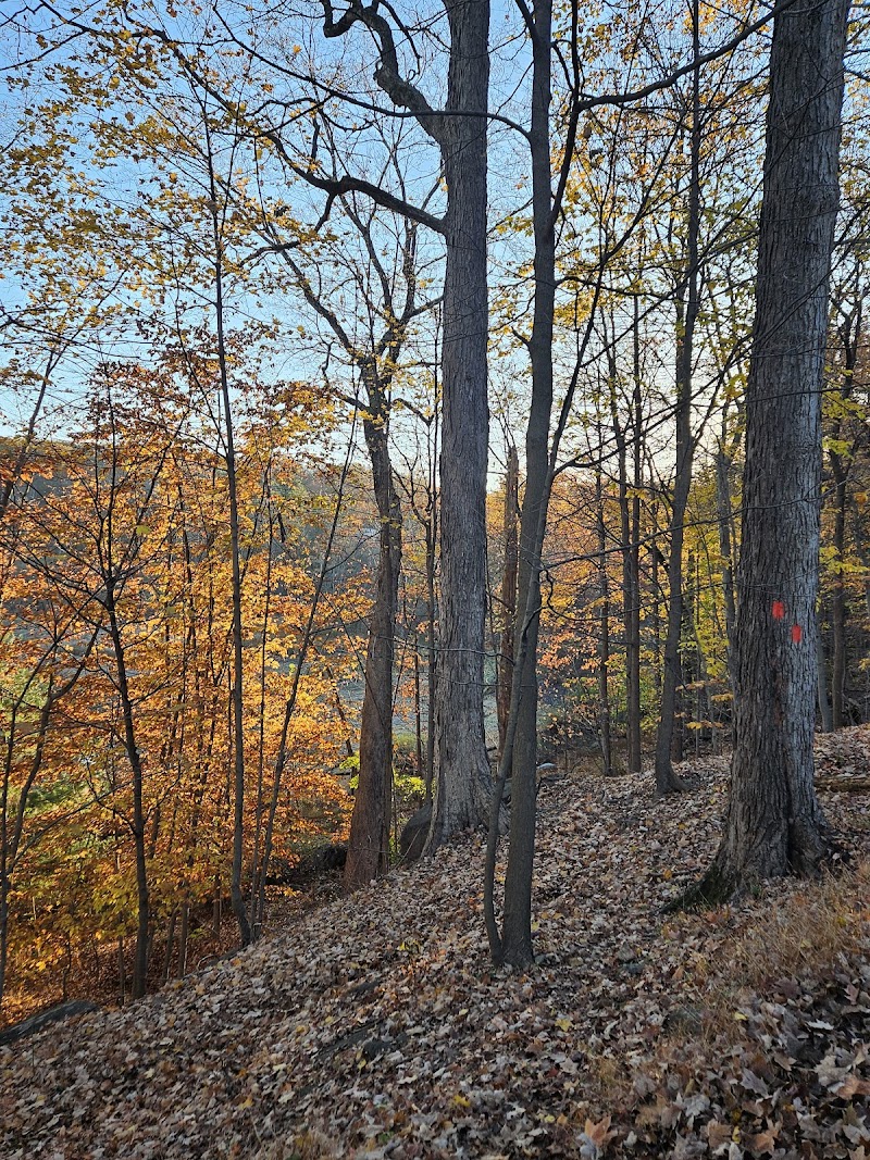Blauvelt State Park photo 4