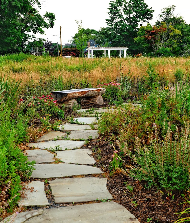 Blue Point Nature Preserve photo 4