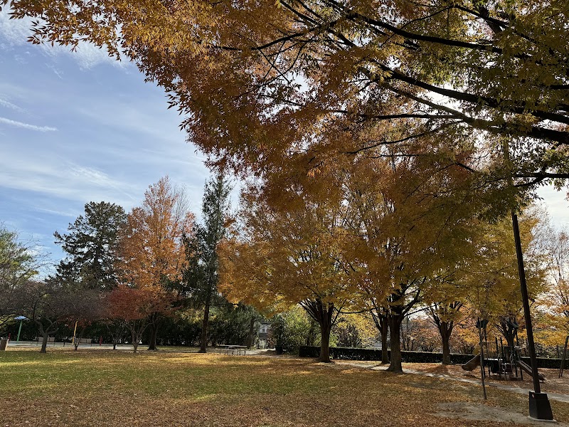 Blumenfeld Family Park photo 4