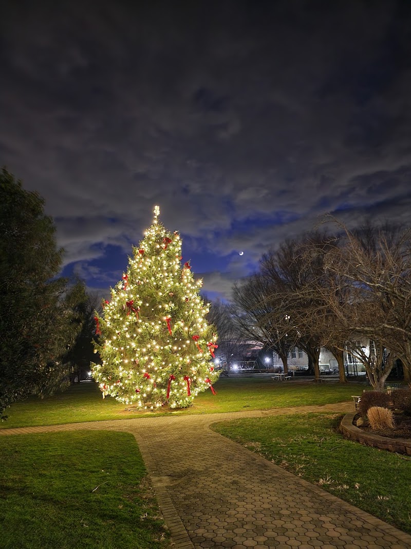 Blumenfeld Family Park photo 5