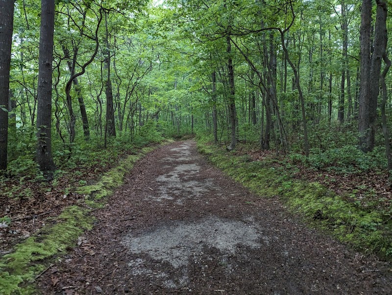 Blydenburgh County Park photo 3