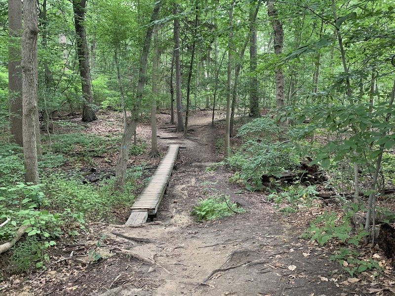 Blydenburgh County Park photo 5