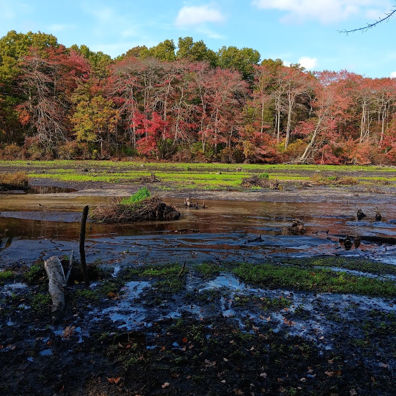 Blydenburgh Dog Park Area photo 3