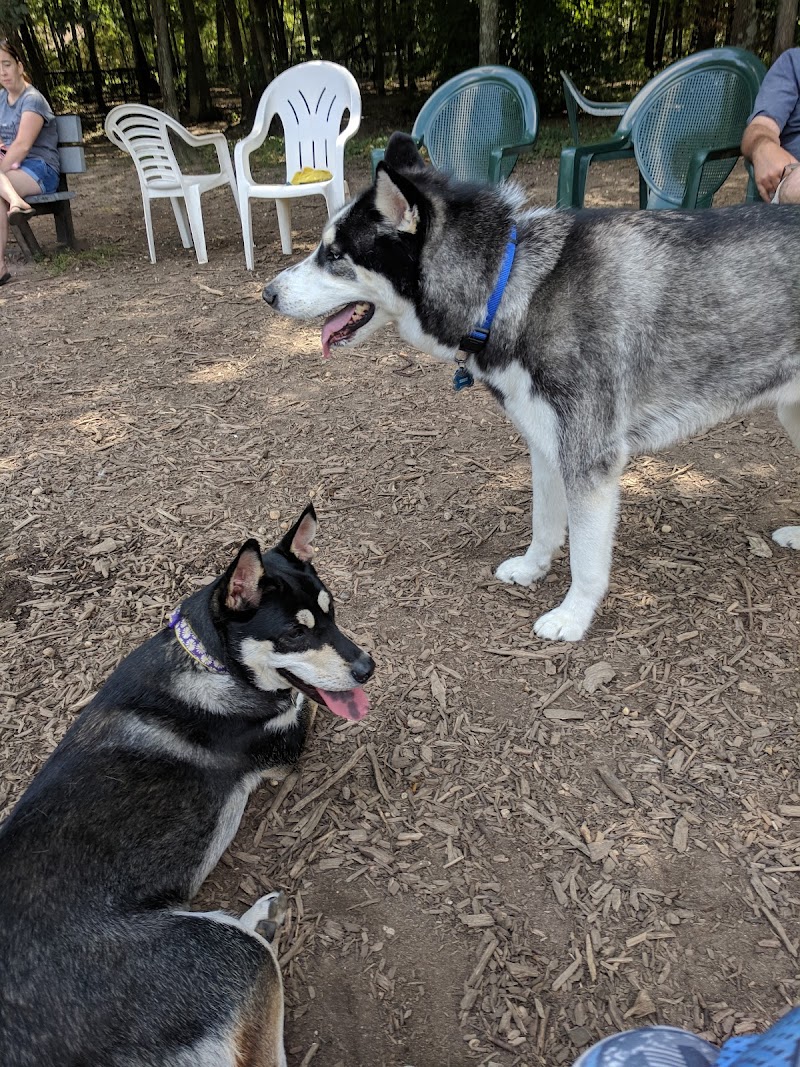 Blydenburgh Dog Park Area photo 5