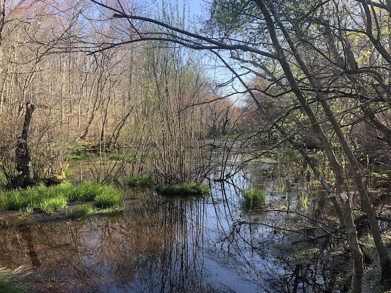 Blydenburgh Park photo 3