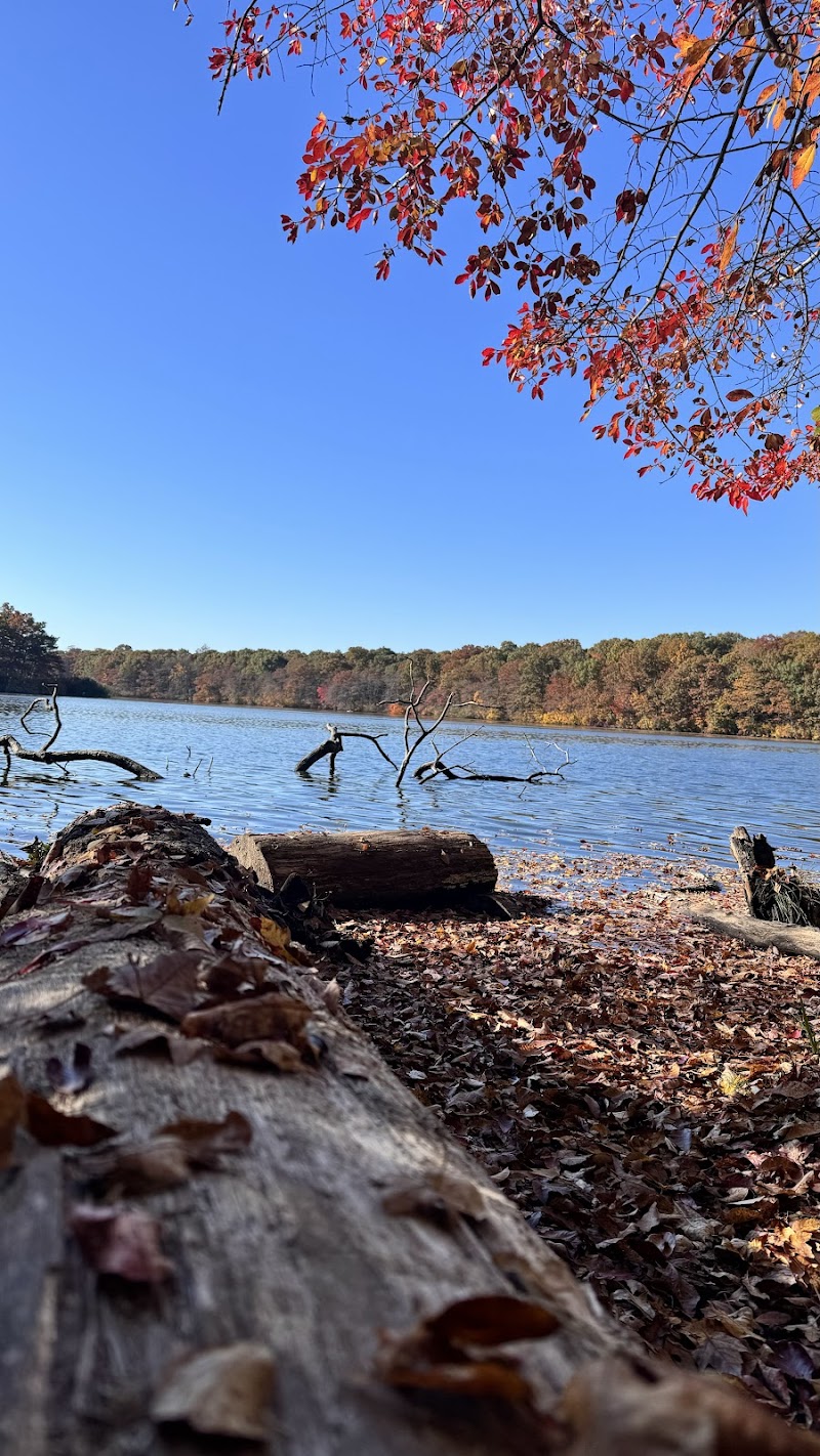 Blydenburgh Park photo 4