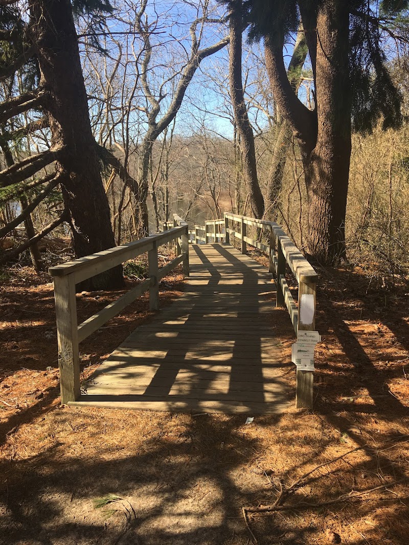 Blydenburgh Park photo 5