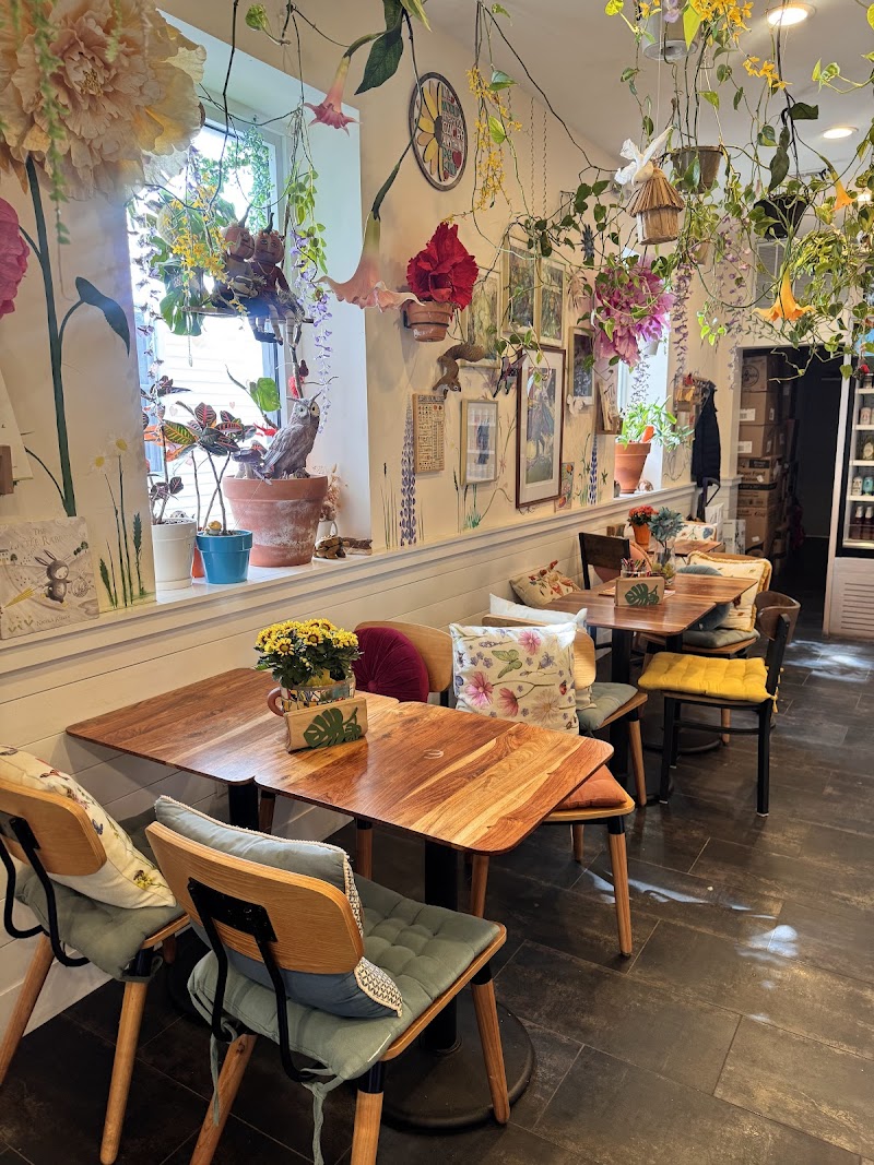 Botanika Cafe Ridgefield photo 3