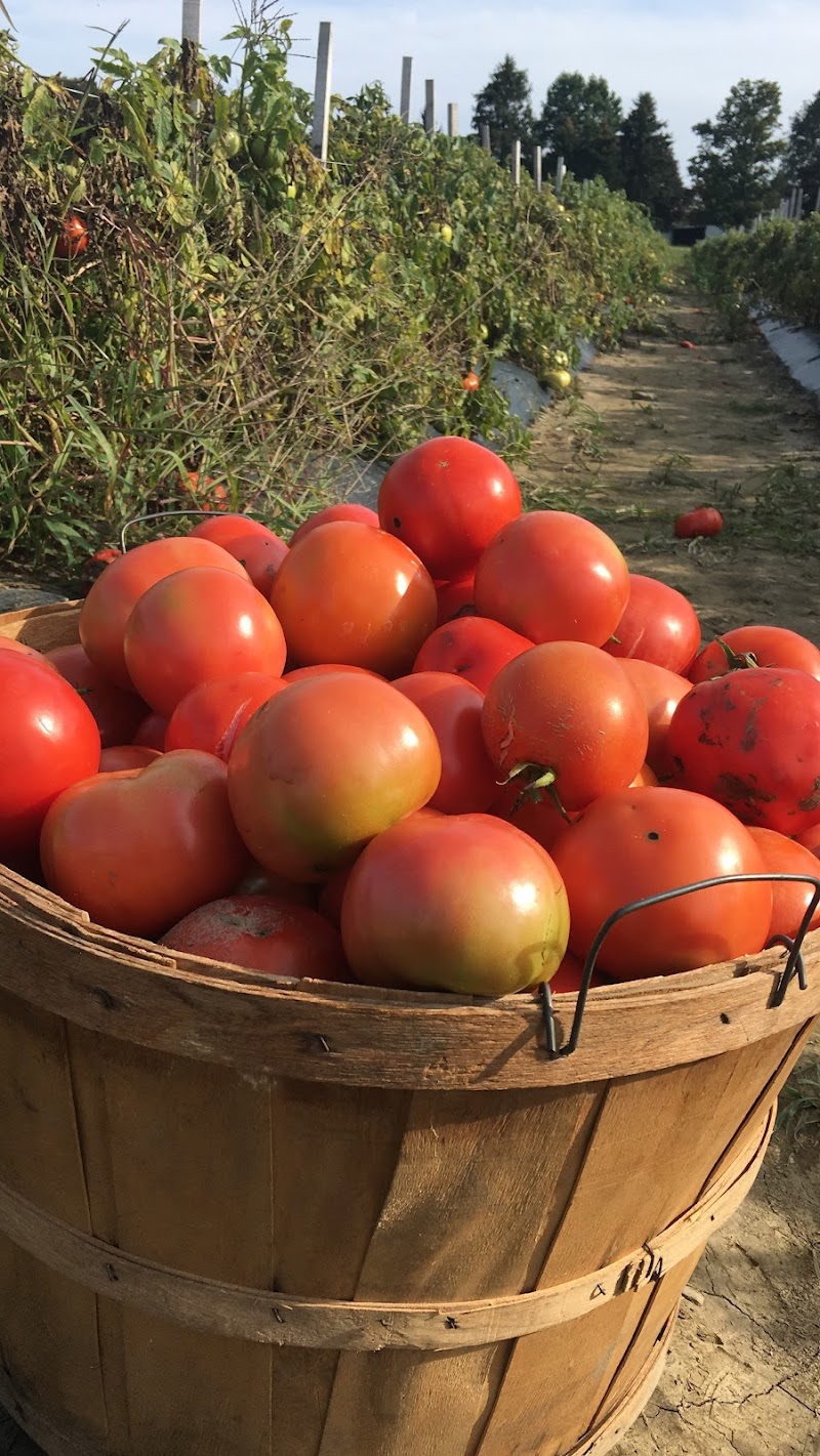 Bowman Farms photo 2