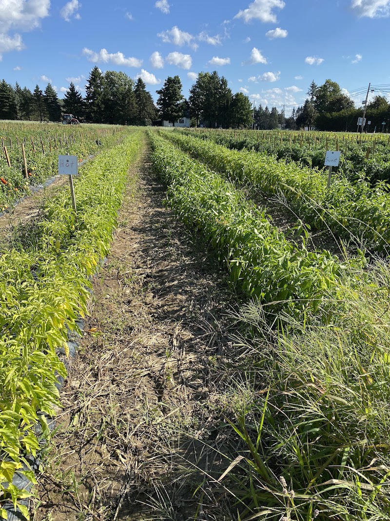 Bowman Farms photo 3