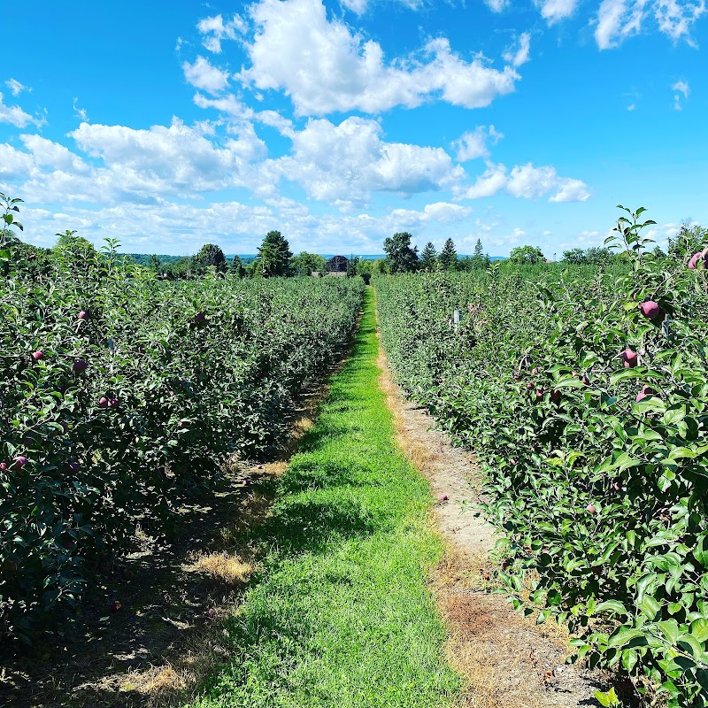 Bowman Orchards photo 4