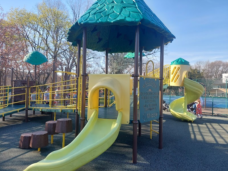 Brady Park Playground - Rubber Mat photo 2