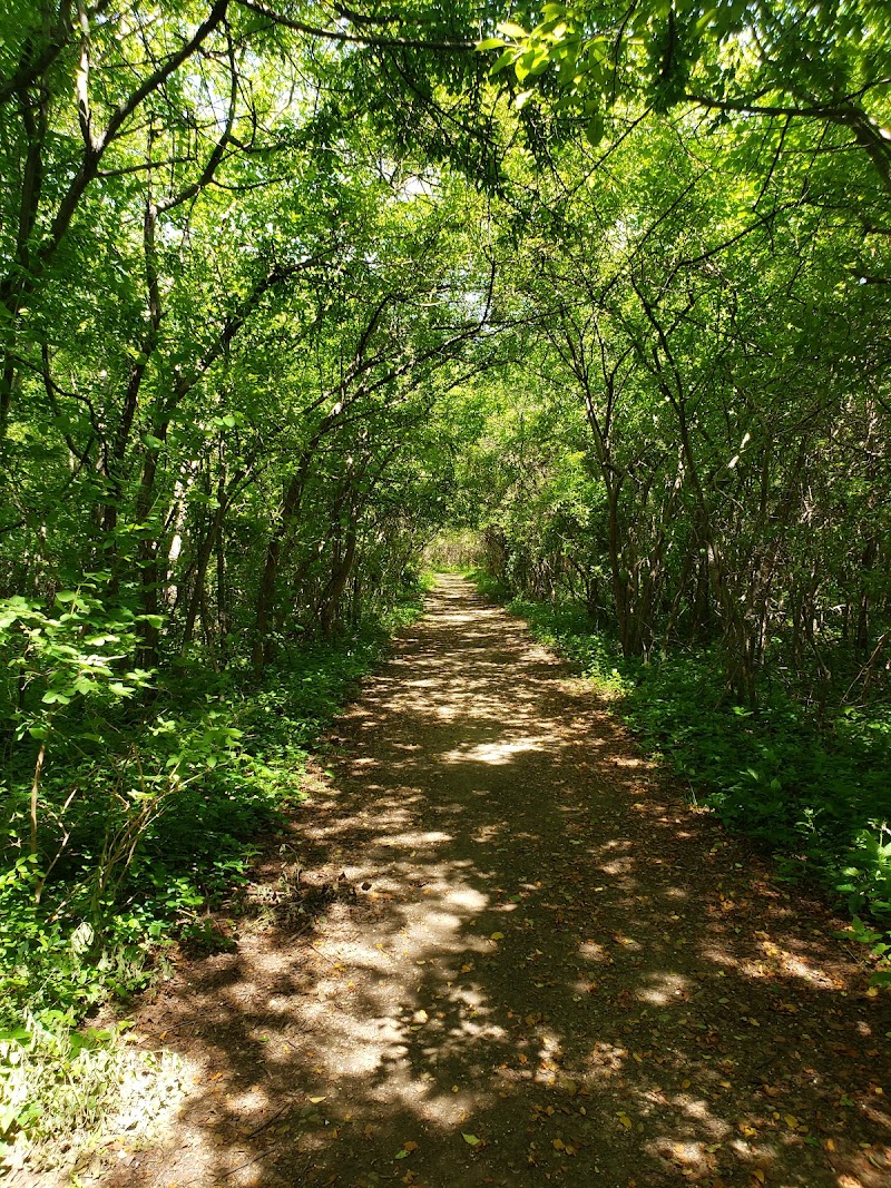 Breezy Park photo 3