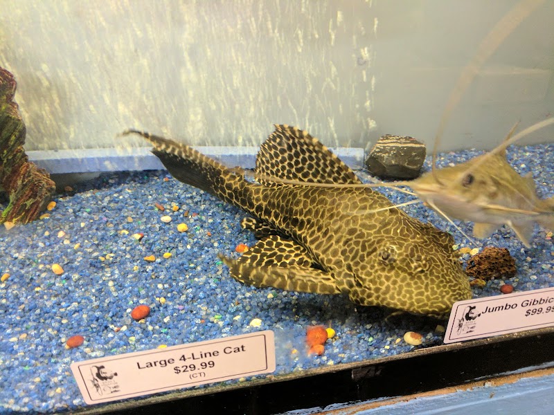 Brian's Tropical Aquarium & Pets photo 3