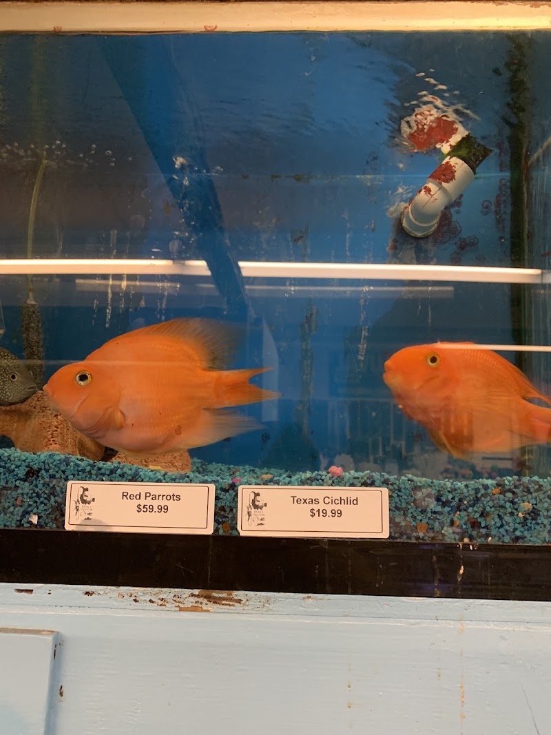 Brian's Tropical Aquarium & Pets photo 4