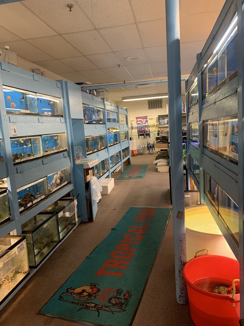 Brian's Tropical Aquarium & Pets photo 5