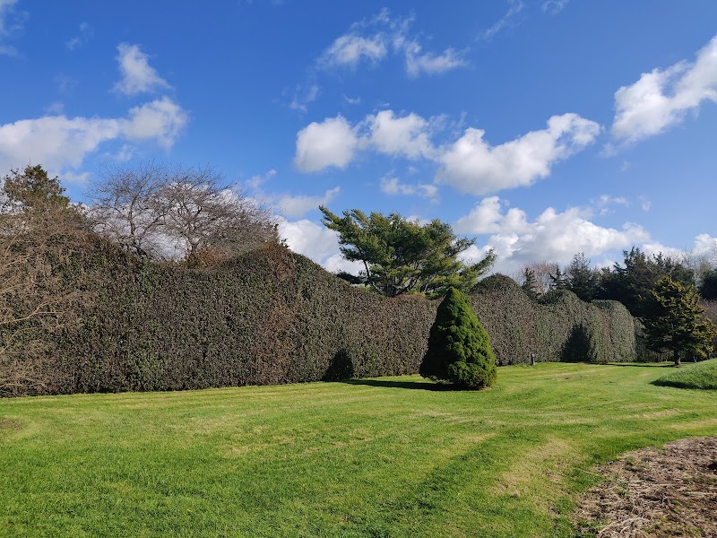 Bridge Gardens photo 2