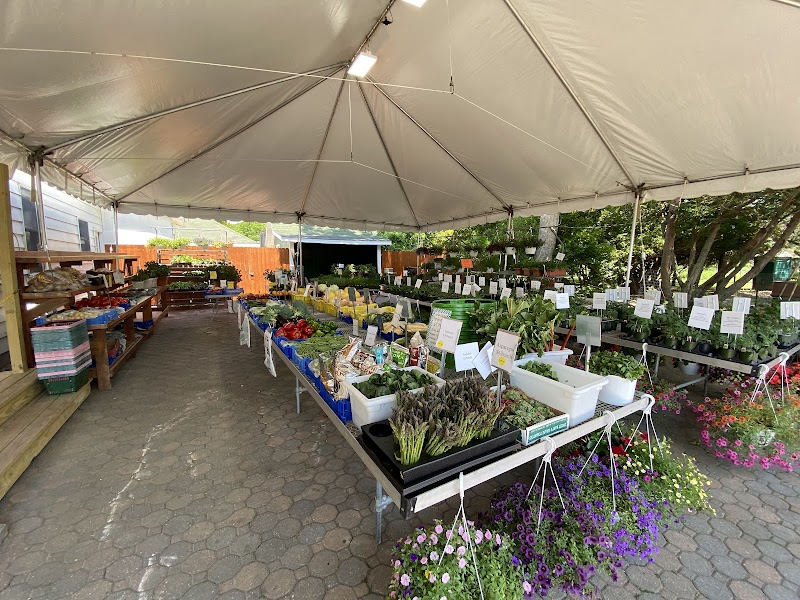 Briermere Farms photo 2