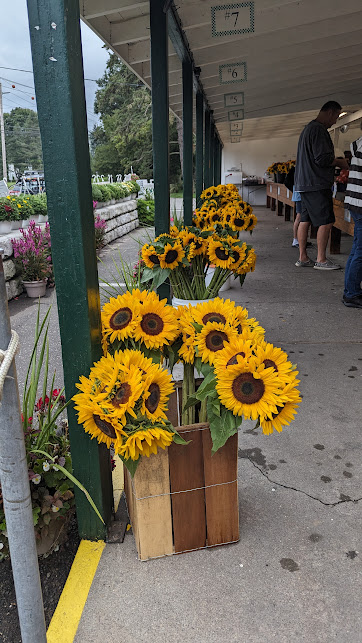 Briermere Farms photo 3